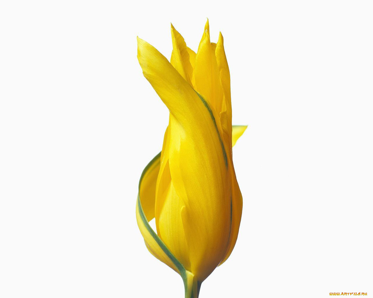 , 